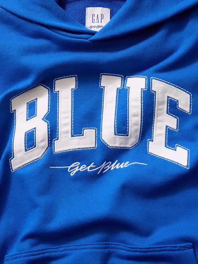 Acquista la felpa con cappuccio in felpa francese pesante blu con logo