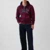 Felpa con cappuccio e zip per adulti Vintagesoft Arch Logo