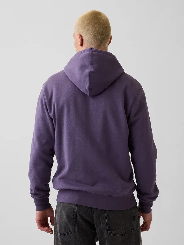 Felpa con cappuccio e zip per adulti Vintagesoft Arch Logo