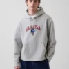 Felpa con cappuccio oversize in morbido tessuto vintage con logo Americana