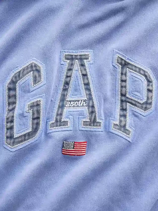 Felpa con cappuccio oversize in morbido tessuto vintage con logo Americana