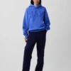 Felpa con cappuccio per adulti Vintagesoft Nap Logo