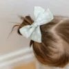 Il set di fermagli con fiocco Abigail