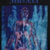 Maglietta corta con grafica Nirvana in tessuto pesante