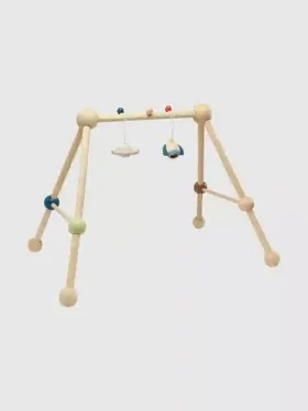Palestra da gioco