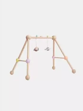 Palestra da gioco
