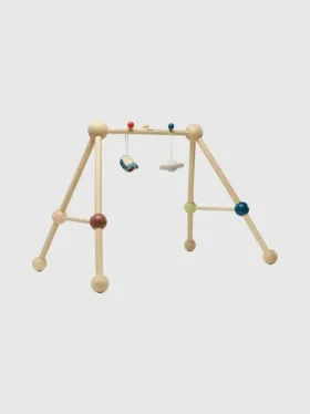 Palestra da gioco