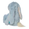 River, il coniglietto blu Snuggle Bunnies