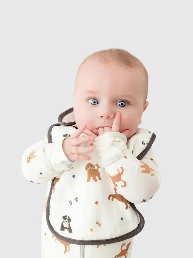 Set di bavaglini Bamboo Little Dogs