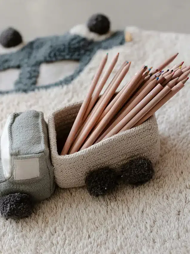 Set di mini cestini da gioco a forma di camioncino di Lorena Canals