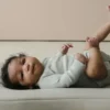 Snuggle Me Infant Lounger Curve