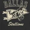 T-shirt con grafica Dallas Stallions per bambini