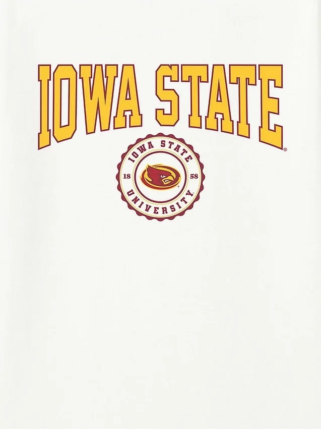 T-shirt con grafica scura raffigurante lo stemma dell’Iowa State University