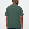 T-shirt con stampa per adulti dei Green Bay Packers della NFL