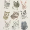 T-shirt per bambini con grafica "Facce di gatto"