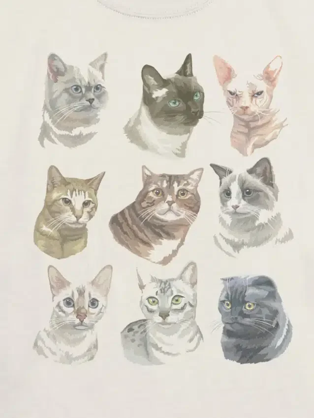 T-shirt per bambini con grafica "Facce di gatto"